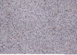 Photo Texture of Wall Tiles